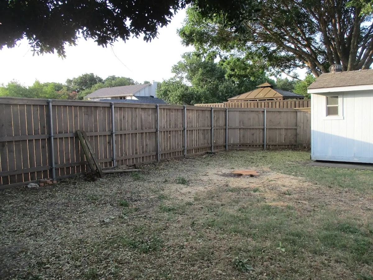 Cleared yard after professional tree removal in Nezperce
